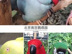 -南宫五洲植物乐园