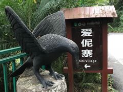 -西双版纳原始森林公园