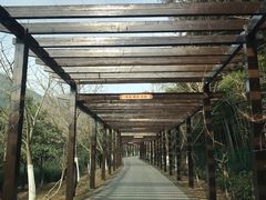 -九龙潭景区