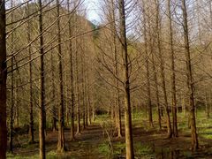 android_upload_pic-小格里自然风景区