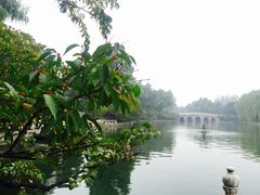 -钓鱼台国宾馆