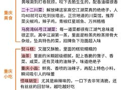-龙湖重庆时代天街
