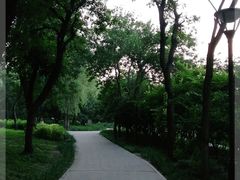 -元大都城垣遗址公园