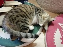 -逃脱反斗城沉浸剧情密室(北京路店)