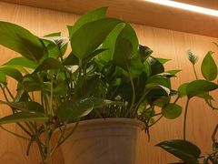 -和记小菜(名品店)