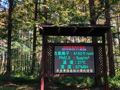 -黄海国家森林公园