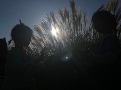 -葛子涧农家宴