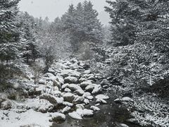 -神农架景区