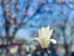 -中国工商银行(北京鼓楼支行)