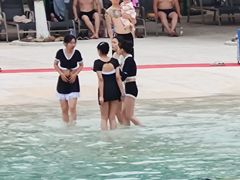 -重庆海昌加勒比海水世界