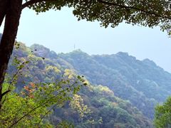 -少华山国家森林公园