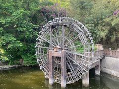 -石老人观光园