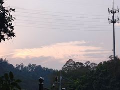 -滴水岩森林公园