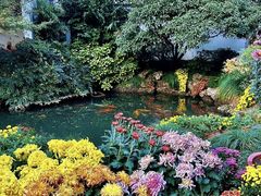 -杭州植物园