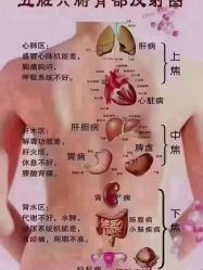 -香薇妮丝·定制减肥·身材管理