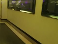 -东方之珠KTV娱乐超市(河北店)
