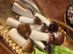 -肉魁屋·烧肉·烧鸟·酒场(高新店)