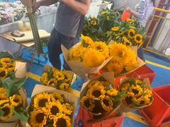 -昆明国际花卉拍卖交易中心