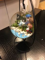 -Pink Gold Wedding·婚礼设计