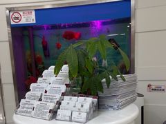 -雅悦齿科(顾村公园店)
