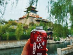 -趵突泉景区