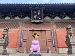 -善化寺