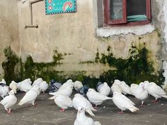 -赤坎·广东华侨国际旅游度假区