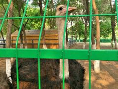 -长白岛森林公园