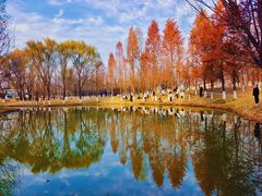 -西安浐灞国家湿地公园