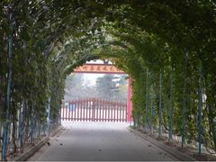 集发农业观光园-北戴河集发农业梦想王国