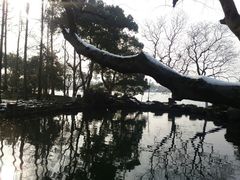 -浙江西子宾馆·瑶园咖啡厅