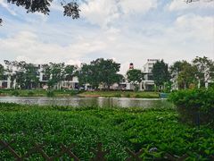 -海珠湖公园