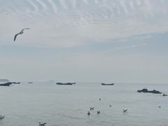 -银沙滩浴场