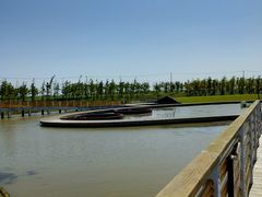 -春花秋色城市公园