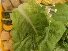 -润园四季椰子鸡火锅(欢乐海岸店)