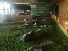 -Seesaw Coffee(朝阳大悦城店)