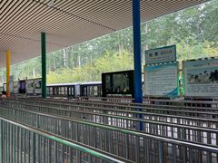 -秦皇岛野生动物园
