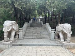 -四门塔风景区