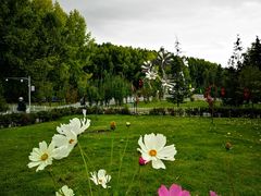 -宗角禄康公园