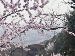 -北京凤凰岭