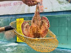 -有腥气私房菜·寻味顺德