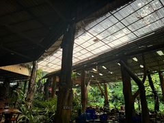 -绿光森林餐厅