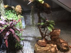 -丫头记(新村店二部)