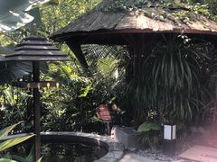 -汇雅温泉