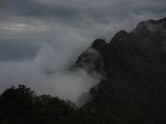 -王顺山国家森林公园