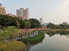 -映月湖公园