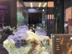 -天津梅江会展中心