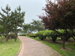 -日照灯塔风景区