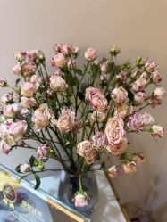 -紫琪尔·匠心连锁·胸部护理养护