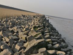 -南汇嘴观海公园